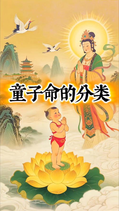 童子命的名人都有哪些？