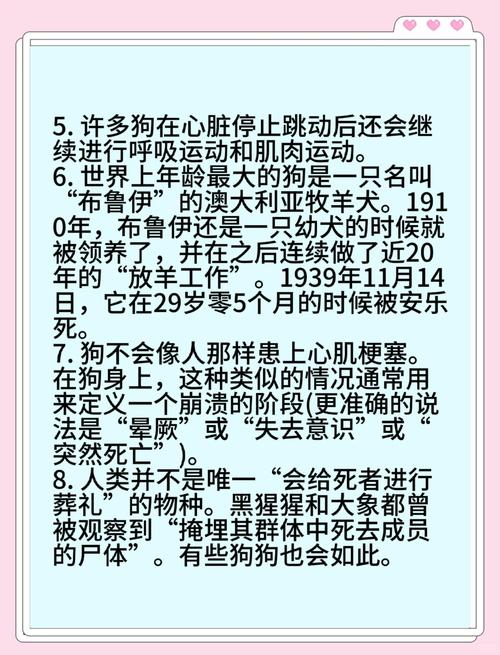 风水学中，小狗不幸离世后是否还能购买相关物品或进行相关活动呢？
