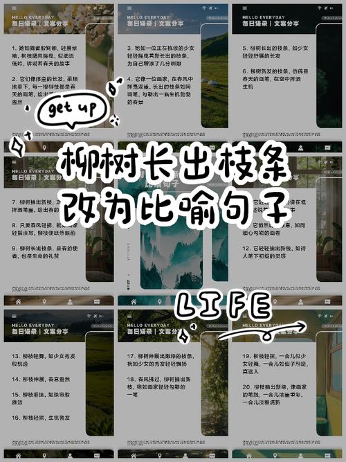 癸未年生杨柳木命是什么命格？杨柳木命如何为？