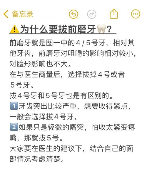 家里牙齿模型空置是否会影响家居风水布局？