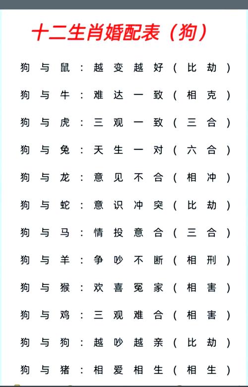 属猪的生肖命理中哪个生肖最好？属猪的人与哪个生肖最匹配？