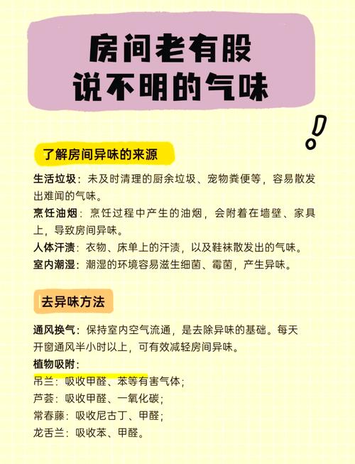 房间异味对风水有影响吗？如何改善？