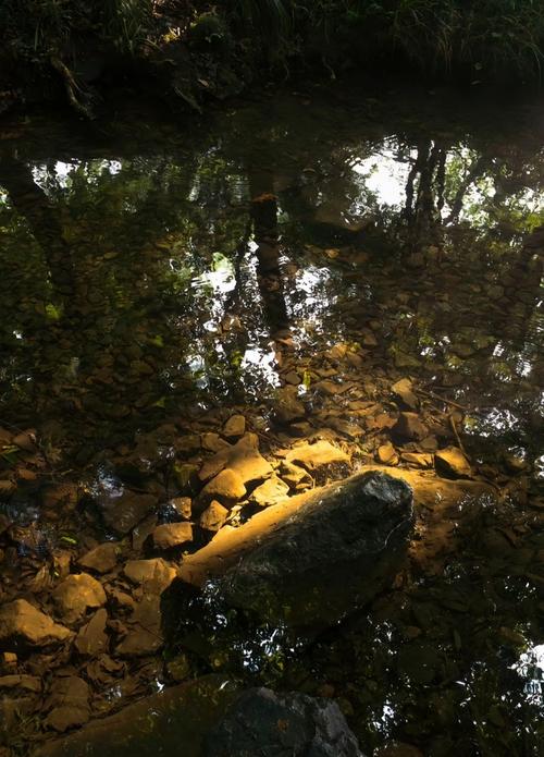 树林中雾气缭绕的地方，是否属于风水宝地？