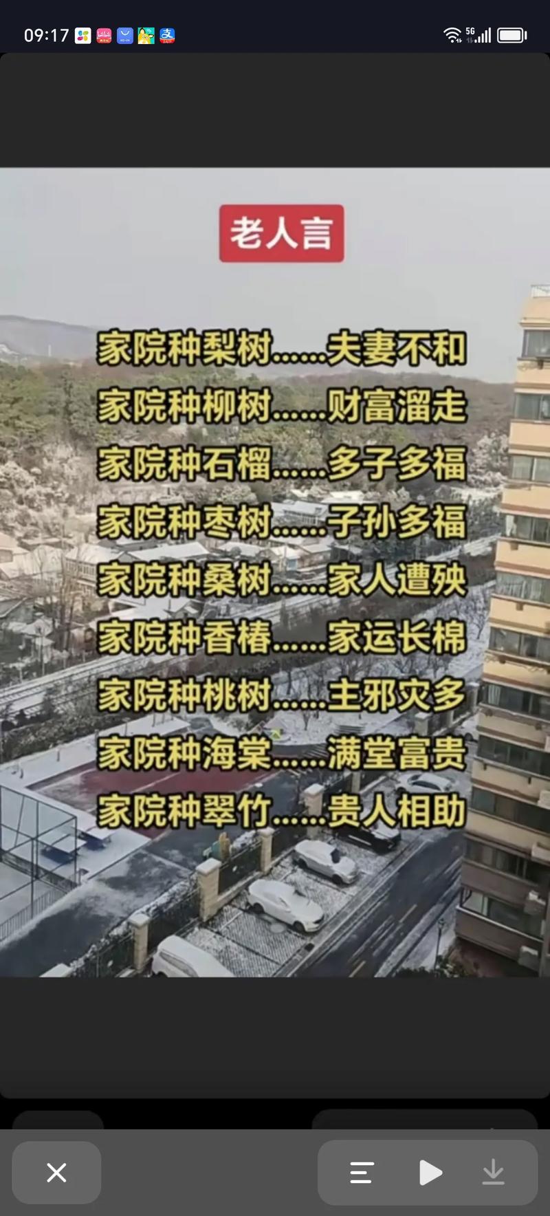 院内树心空心对风水有何具体影响？