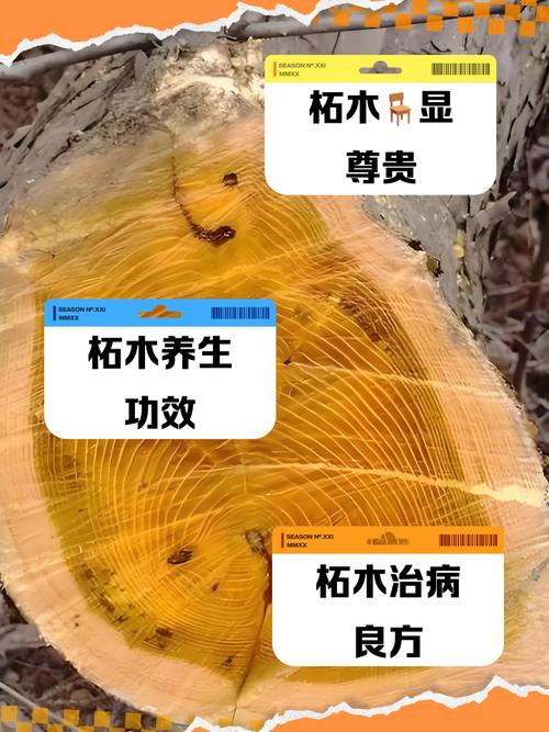 桑柘木命与哪种命最相配？沙中土命与桑柘木命是否为最佳良配？