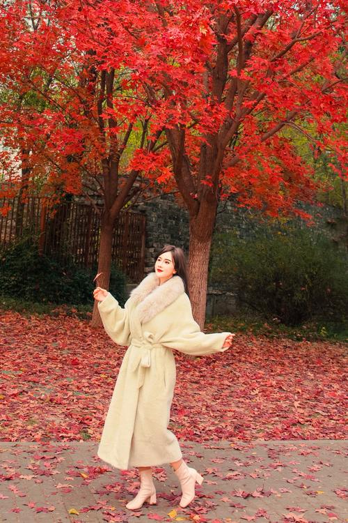 枫树下拍照是否会影响风水？