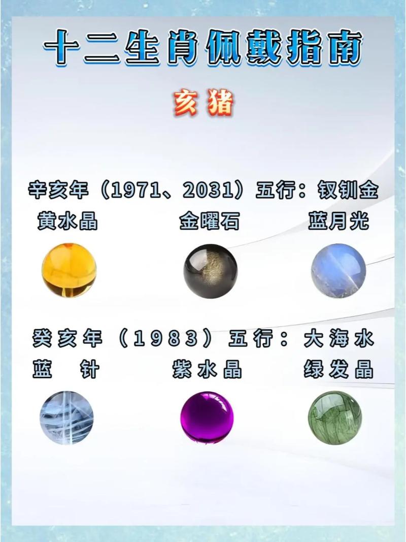 2019年属猪的五行命理是什么今年小猪年又是什么命？