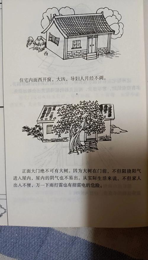 房子被大树遮挡光线，这样的风水布局会影响居住吗？