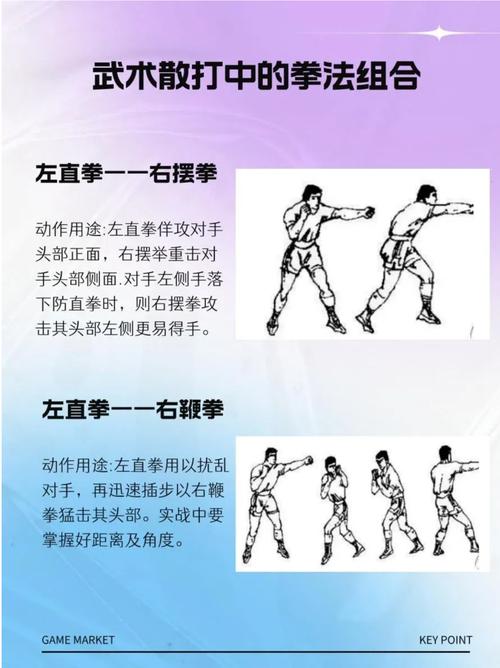 什么是将命式拳法？它属于哪十大拳法之一？