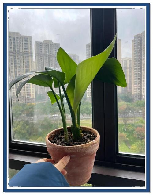 施肥与风水之间是否存在某种关联性呢？