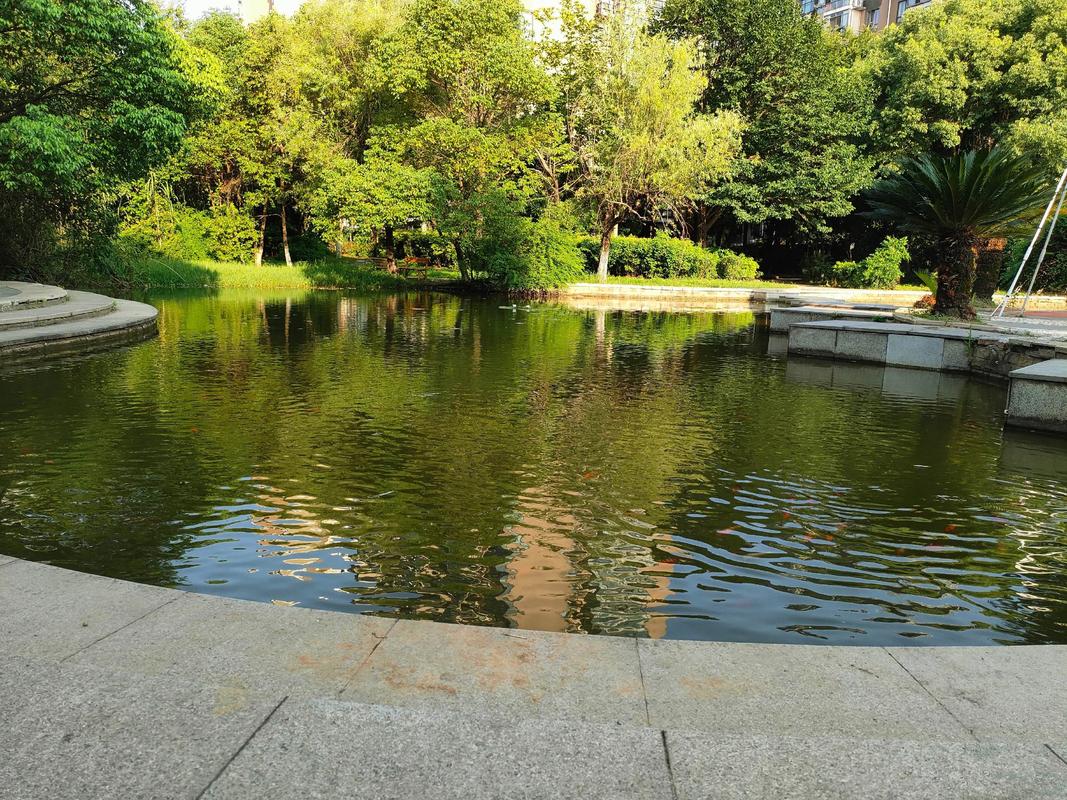 小区湖水混浊对住宅风水有影响吗？