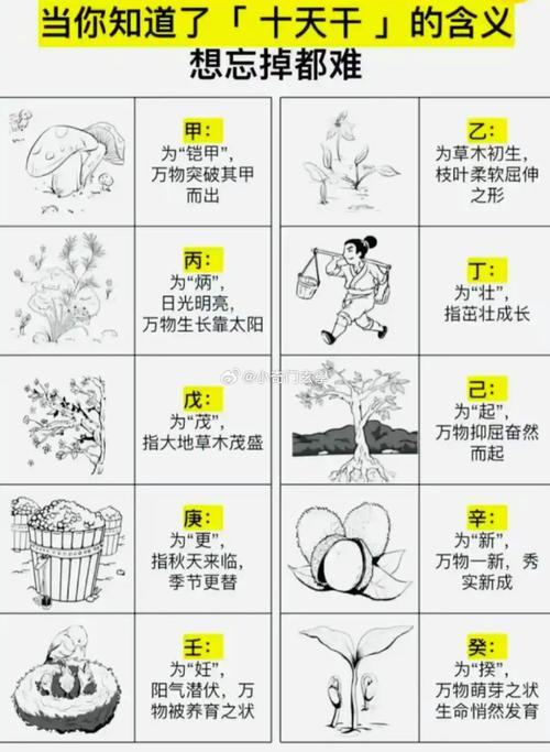 土命男孩蕞适合拜什么命格的干爹？土命女孩又应拜什么命格的干娘？