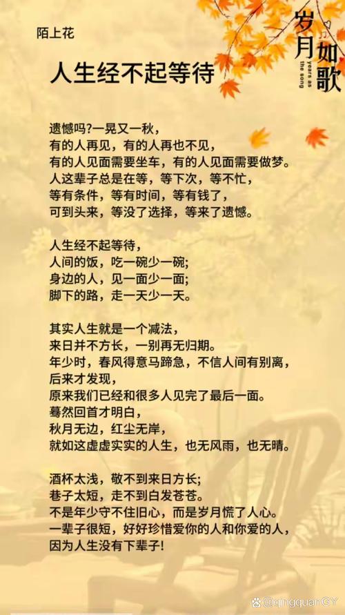 等待太久的人命运是否注定苦命？