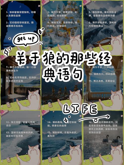 天狼星下凡命格改写为长尾：天狼星下凡意味着什么命格？