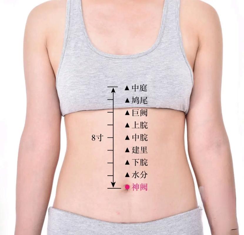 肚脐偏上位置代表什么命运？肚脐眼偏右是否正常？