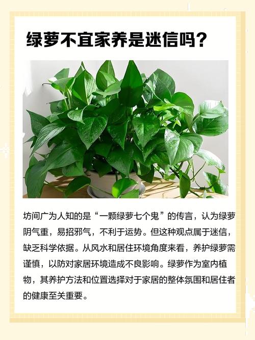家里缺少绿色植物会导致容易生气吗？