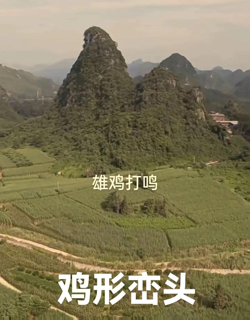 养鸡在风水上能辟邪招财吗？这说法科学吗？