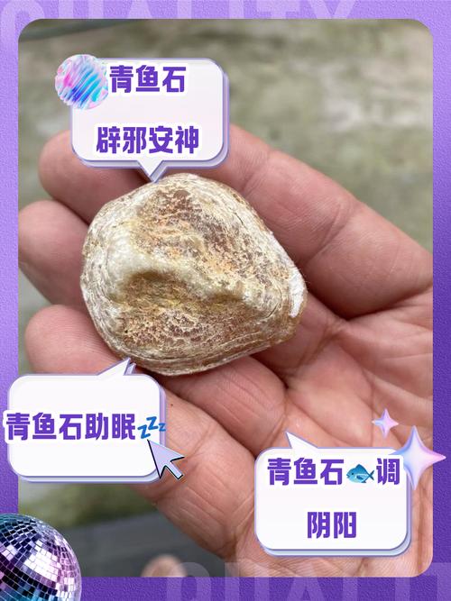 青鱼石的风水作用究竟有多大，对居住环境的影响是否显著？