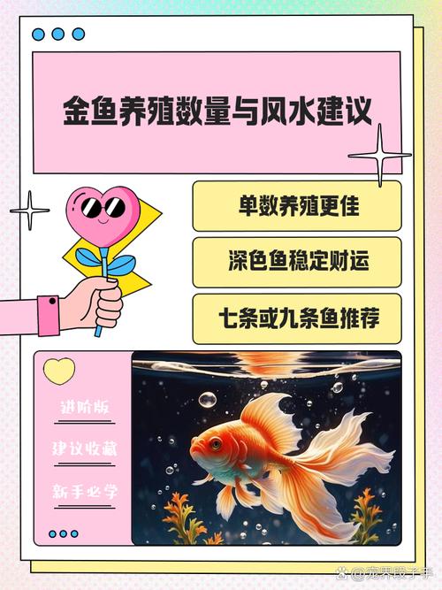 公司养金鱼的风水讲究真的有科学依据吗？