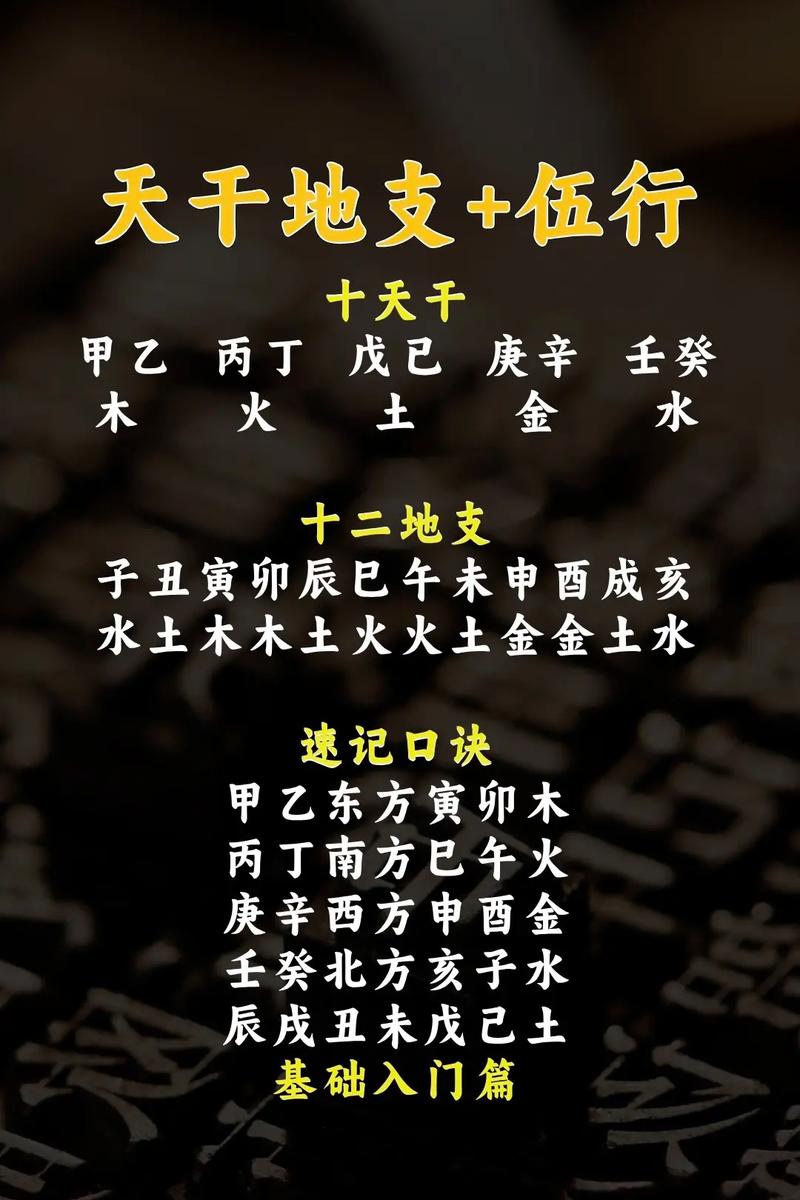 辛巳年天干地支是什么命？辛金属指的是哪种金属？