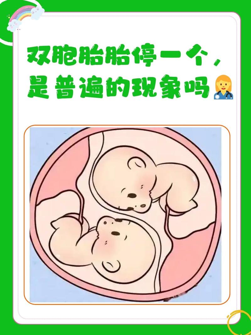 命里注定有两个孩子，为何只生育了一个，这是怎么回事呢？