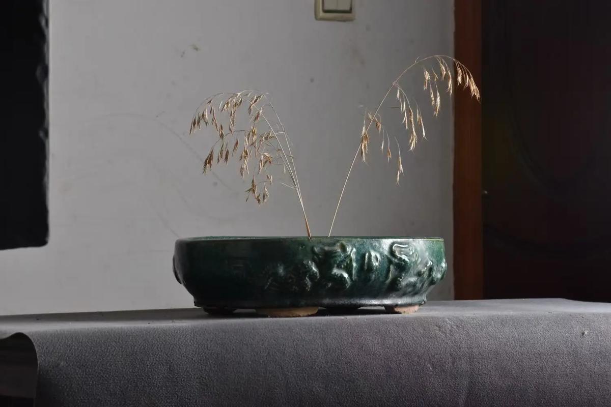 旧花盆的风水对家居环境有怎样的影响呢？