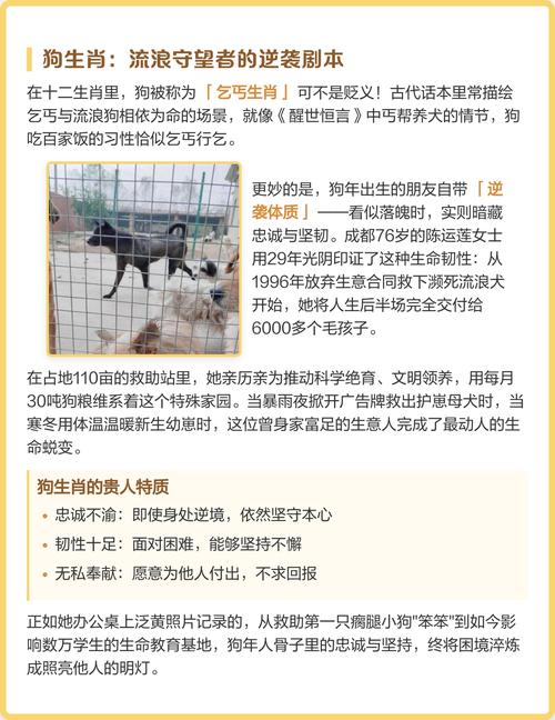 哪些生肖的人命运注定是乞丐？