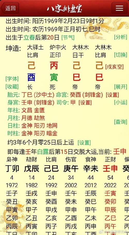 己卯癸酉癸巳乙卯和庚午己卯丙子癸巳分别是什么命？