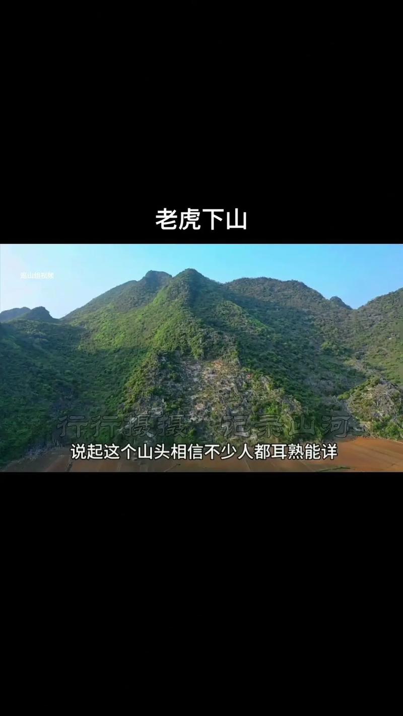 风水老虎地形是否适合在此地立碑纪念？