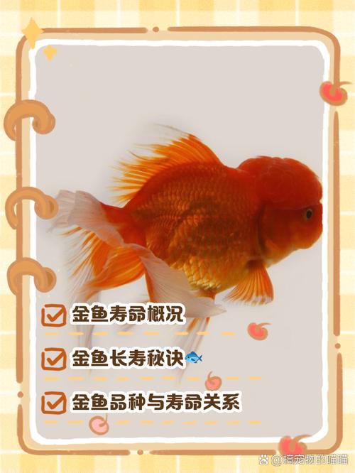 风水养鱼对鱼的寿命有影响吗？