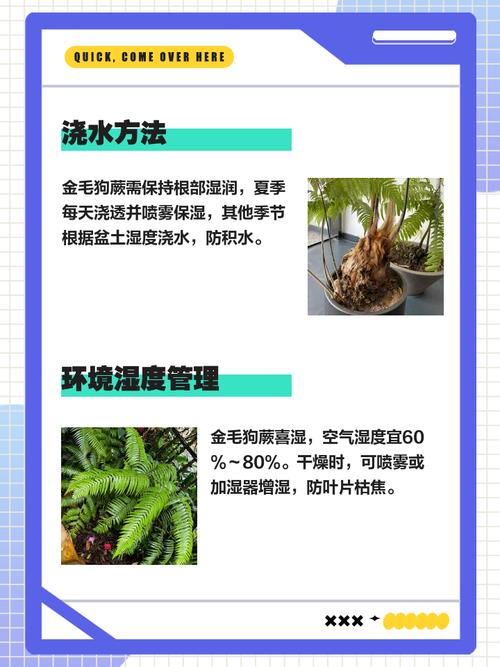 狗狗可以种植吗？这样的风水环境好吗？