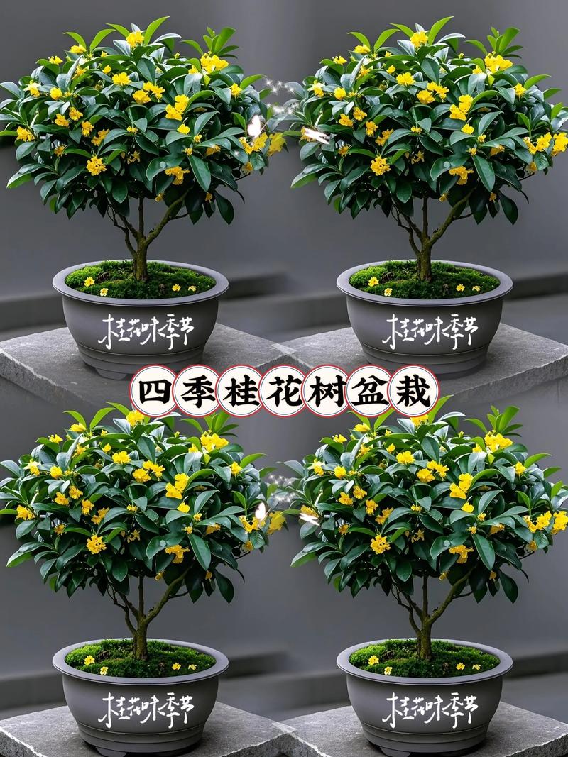 2026年5月4日农历三月十八适合种植什么植物吗？