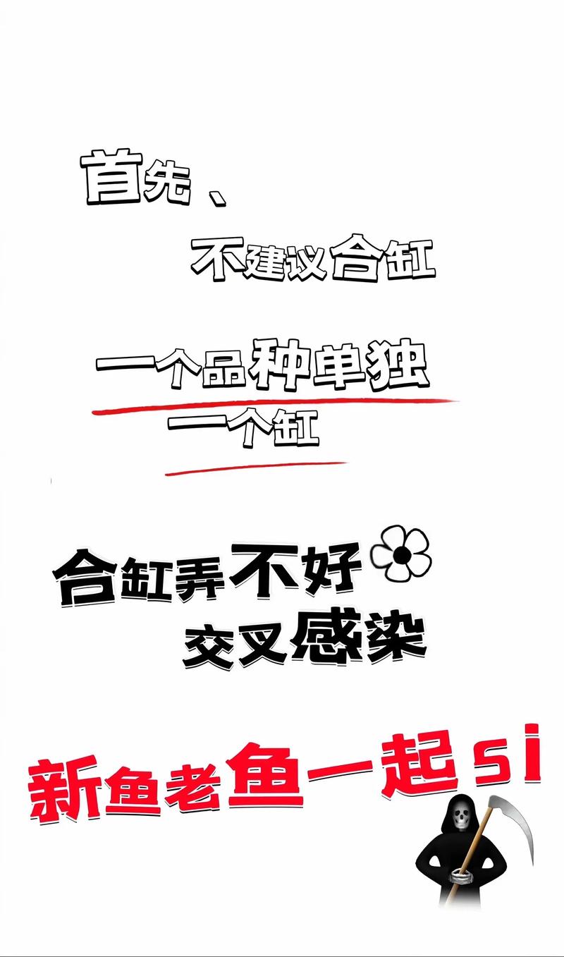 养孔雀能带来财运吗？孔雀养殖风水如何？