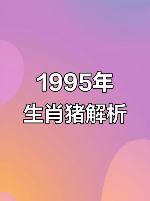 猪女1995年出生是什么命，十二月出生的属猪女性格命运如何？