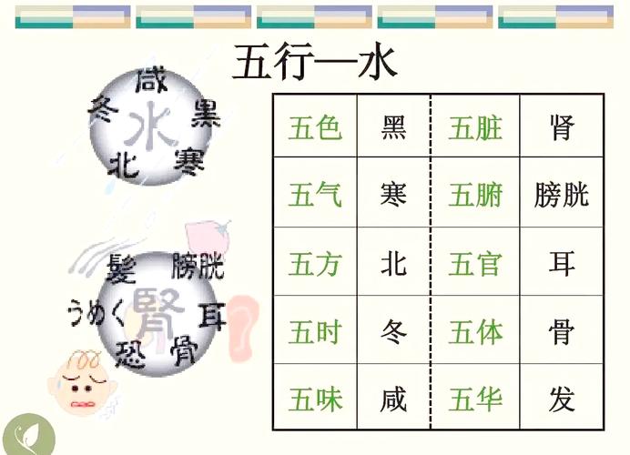 八字命理中命里带水意味着什么？水在八字中代表哪些含义？