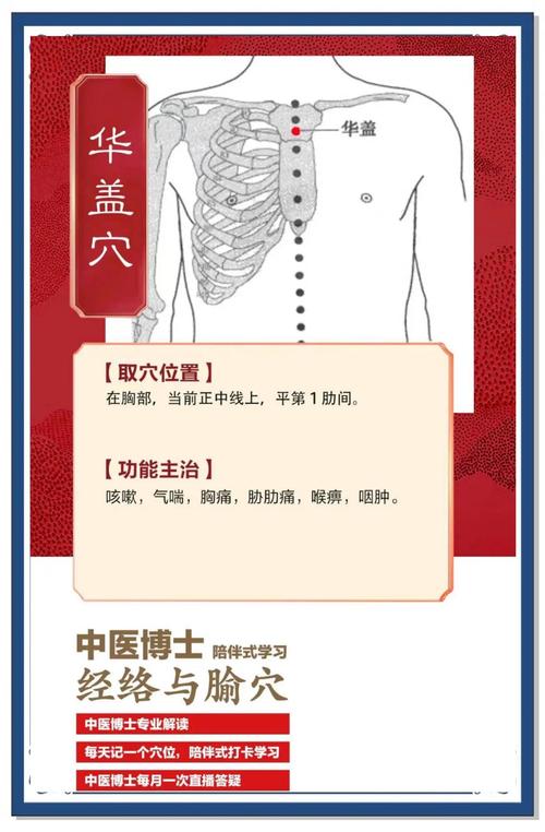 命带华盖是什么意思？华盖的脏腑指的是哪些器官？