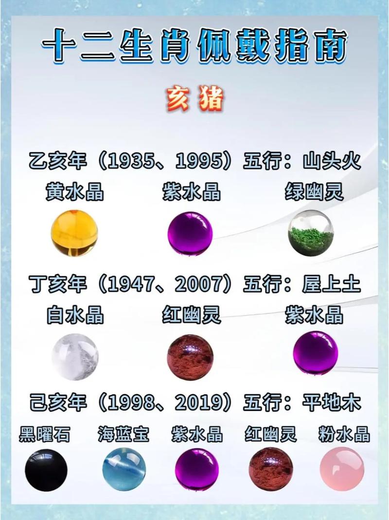 正月十六属猪和2007年属猪的命理是什么？