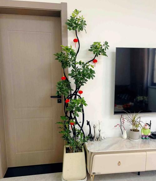 风水电视柜摆放假花合适吗？