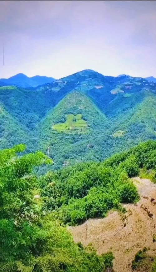 日本风水在哪些具体行业或领域能带来经济效益？