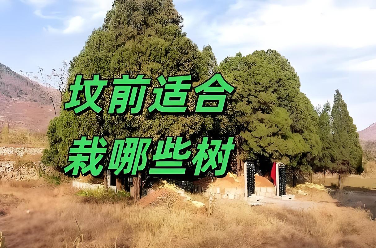 坟上风水大树对墓地风水有好处吗？