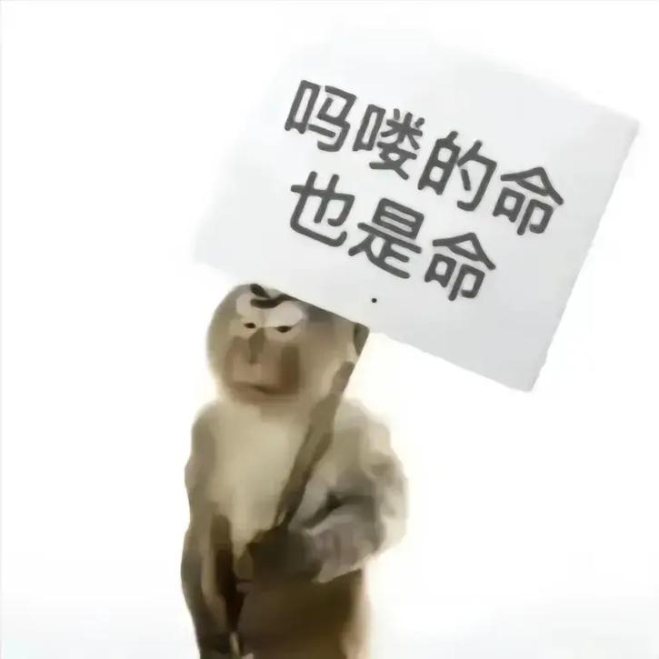 马喽的命不是命，那水马命能否改得好？