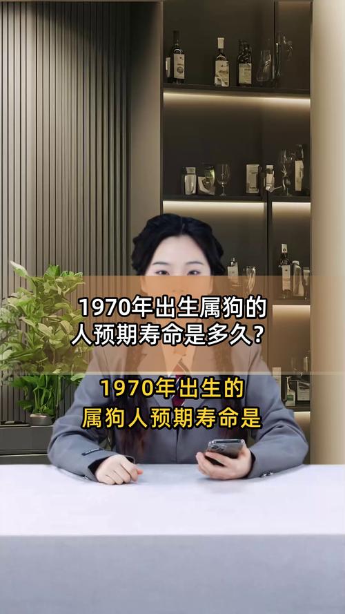 1970年出生的女狗，一生的命运究竟如何？