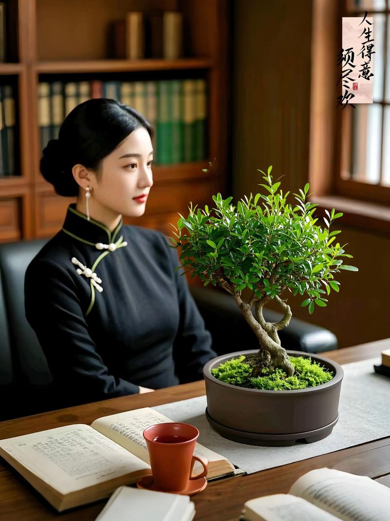 金丝楠木作为风水树，其作用和摆放有何讲究？