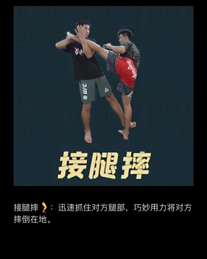 摔跤运动与风水学之间是否存在某种关联？