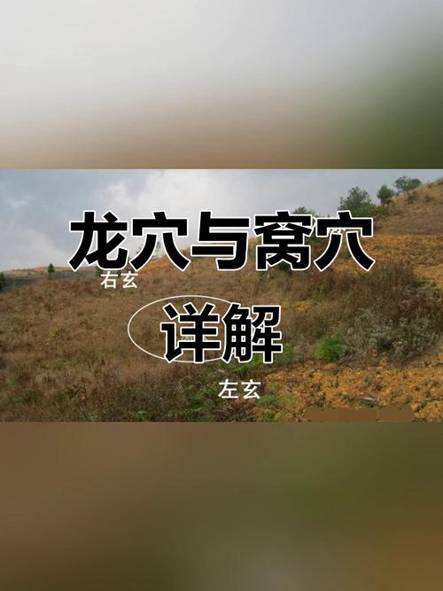 风水中有挪窝的说法，请问这种说法具体指的是什么？