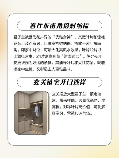 为什么风水学认为客厅不宜摆放兰花？