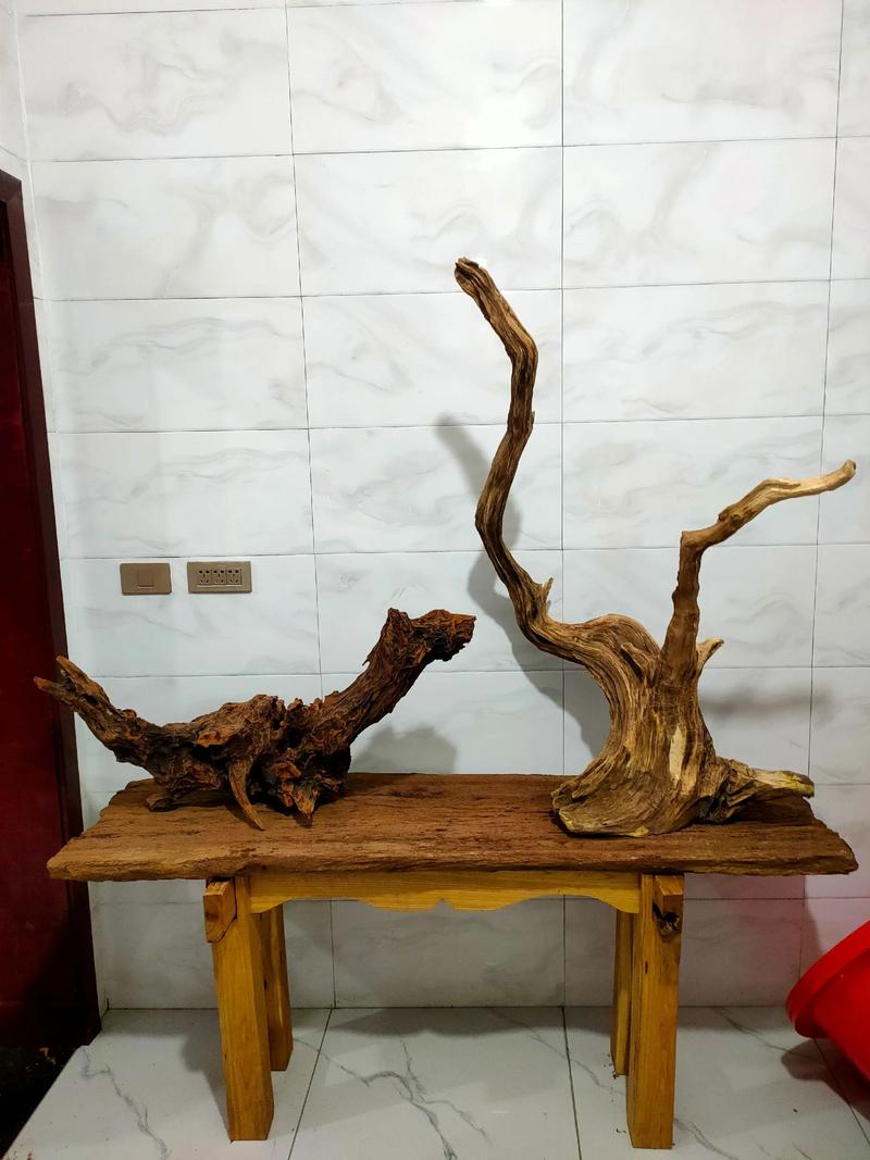 板栗树根雕对家居风水有怎样的影响？