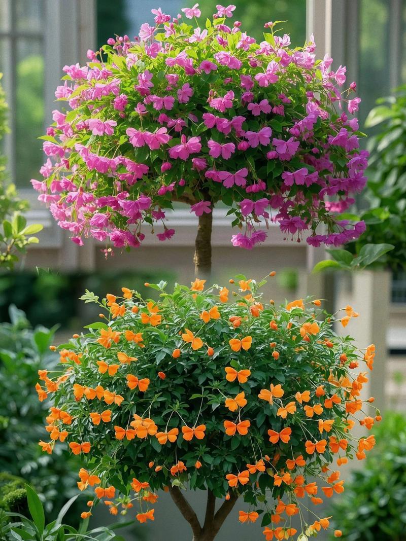 阳台风水适宜种植花卉植物吗？