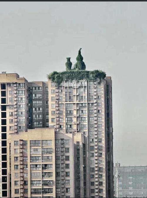 楼顶东西摆放杂乱，会对风水产生怎样的影响呢？