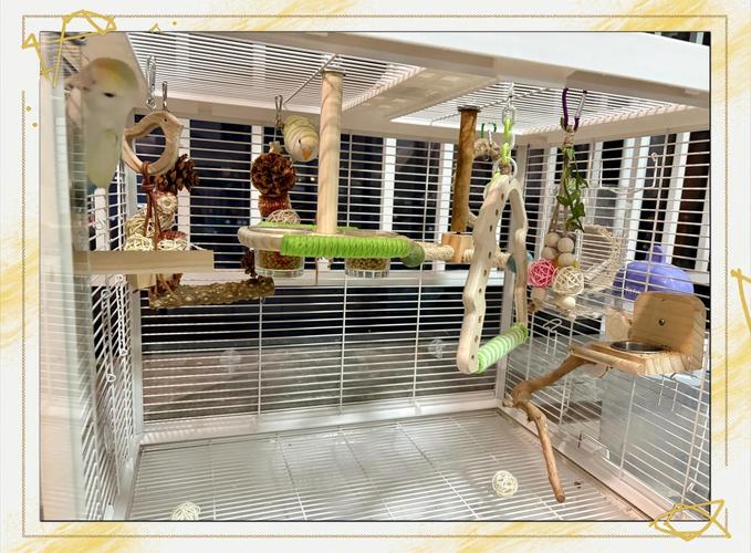 将鸟笼放置狗旁风水适宜吗？